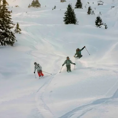 Pratiquer le ski freeride