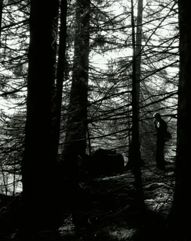 Cueillette automnale en forêt