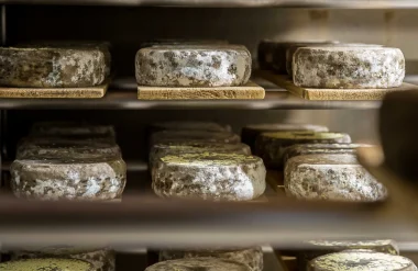 Les fromages de chez nous