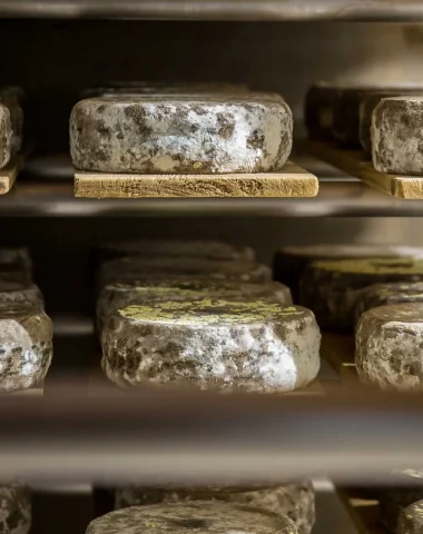 Les fromages de chez nous